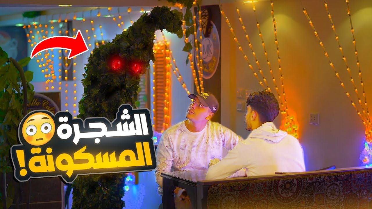 مقلب الشجره المسكونه داخل المطعم - حرفيا هتموت من الضحك 😂