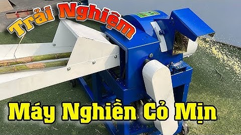 Thử Thách Băm Mịn Cây Mía Với Máy Băm Nghiền Cỏ Siêu Mịn Bình Quân