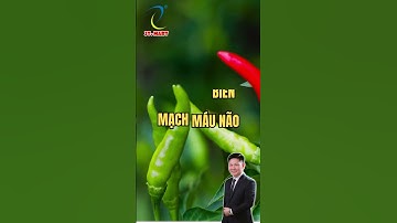 6 Lợi Ích Bất Ngờ Của Lá Ớt – Dân Quê Biết Từ Lâu Rồi!