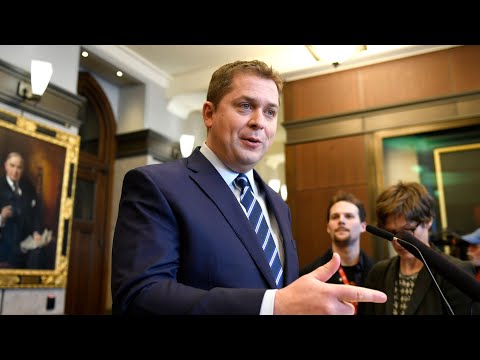 Government could be auditing ‘after the fact’: Scheer on funds for small businesses