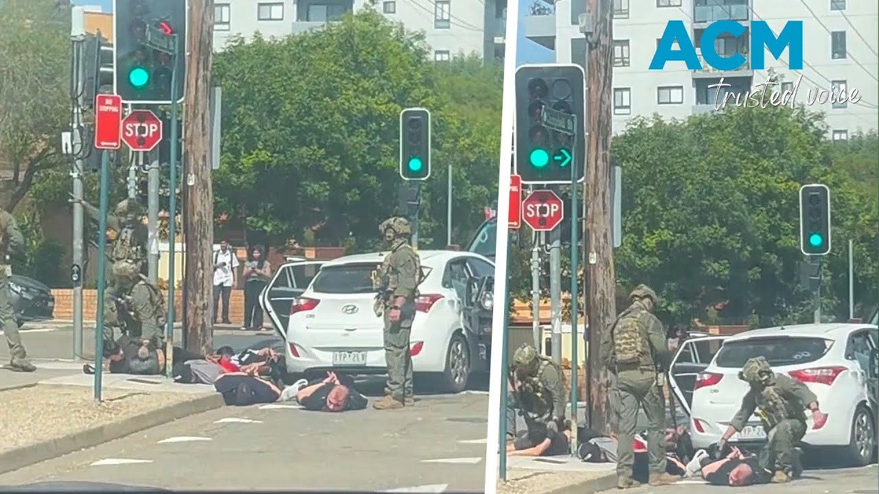 Armed police detain group involved with 'potential violent act' in Sydney