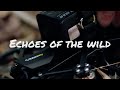 Echoes of the Wild: GOFILM 20 Adventure