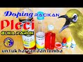 Cara Membuat Doping Pleci Biar Buka Paruh Untuk Harian Dan Lomba Meracik Sendiri Doping Pleci Mp3 - Mp4 Download
