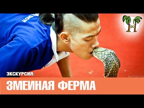 Змеиная ферма и шоу, Пхукет Таиланд | Snake Farm And Show