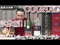 【テースト編！！】【コニャックを呑みながら… 後編】【レミー マルタン V.S.O.P・マーテル VSOP レッド バレル 】お酒　実況　コニャック　レミー マルタンとマーテル