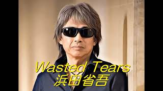 浜田省吾　　　Wasted Tears