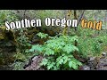 Southern Oregon gold prospecting - Highbanking for gold!