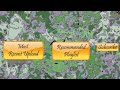 End of video