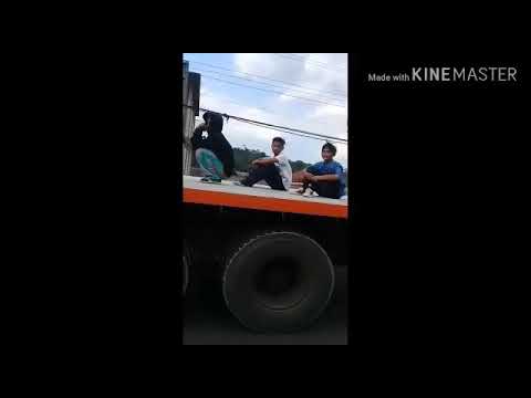 NHEBAR 601+YASHIR PAROENGKUDA