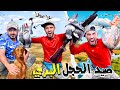 الحياة البرية تحدي صيد الأرنب و الحجل البري يوم كامل في البرية حصيلة رائعة