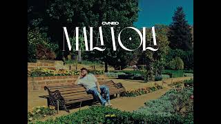 Cvneo - Mala Vola Visualizer Ekidad