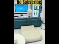 Cutie give back folding perfectly #shorts #cutedog #dancing dog