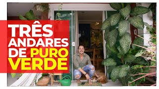 CASA COM MUITAS PLANTAS, CACHORROS E AMOR POR TODOS OS LADOS - UMA FLORESTA COMO DECORAÇÃO