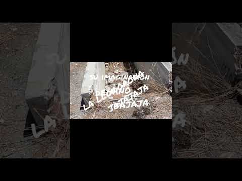 CARCACHA CASINO ESPAÑOL - AB MUSICAL
