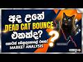 WHAT IS DEAD CAT BOUNCE ?