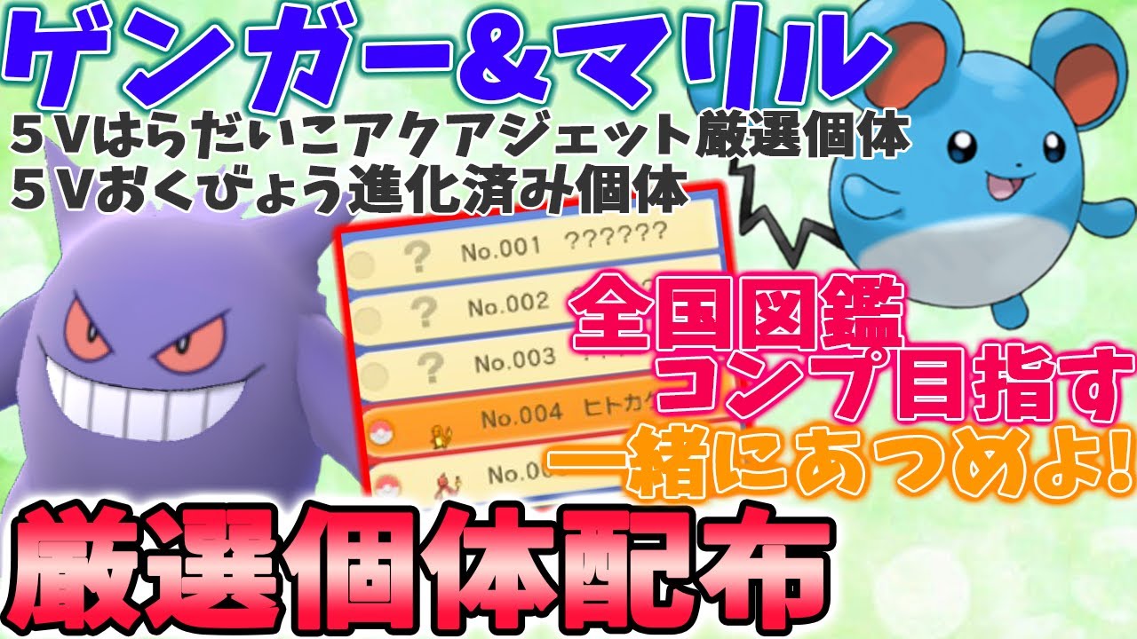 ポケモン ダイパリメイク 配布 厳選５vマリルや５vゲンガープレゼント そして通信交換をやりつつ全国図鑑を一緒に埋めて目指せひかるおまもりを入手作戦 25 sp Youtube