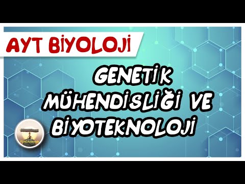 Video: Bir organizmanın genetik bilgisini taşıyan dizi nedir?