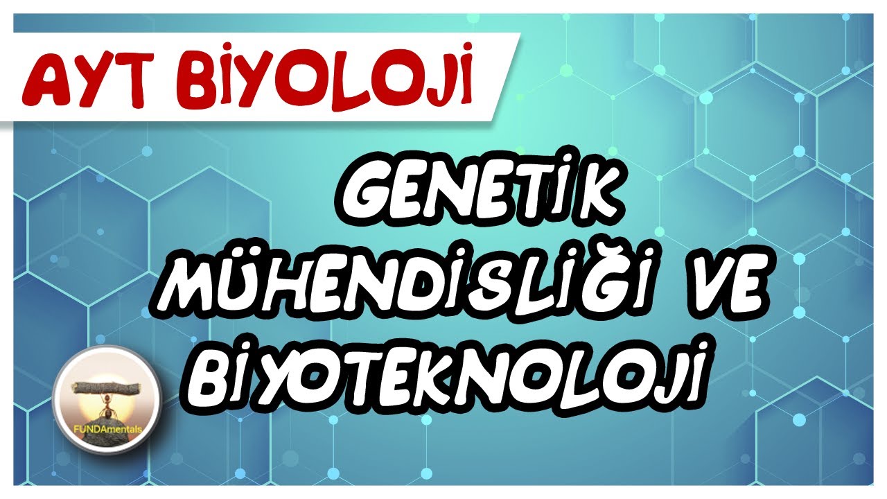 AYT Biyoloji | Genetik Muhendisligi ve Biyoteknoloji #sayfa144