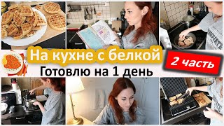 Экономное меню. На кухне с белкой 2 часть. Готовлю на 1 день