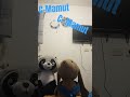 C-MAMUT C-RaFIN #funny