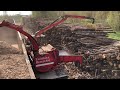 Amazing Biggest Wood Chipper Machines Working, Fast Cutting Trees Machines Easy