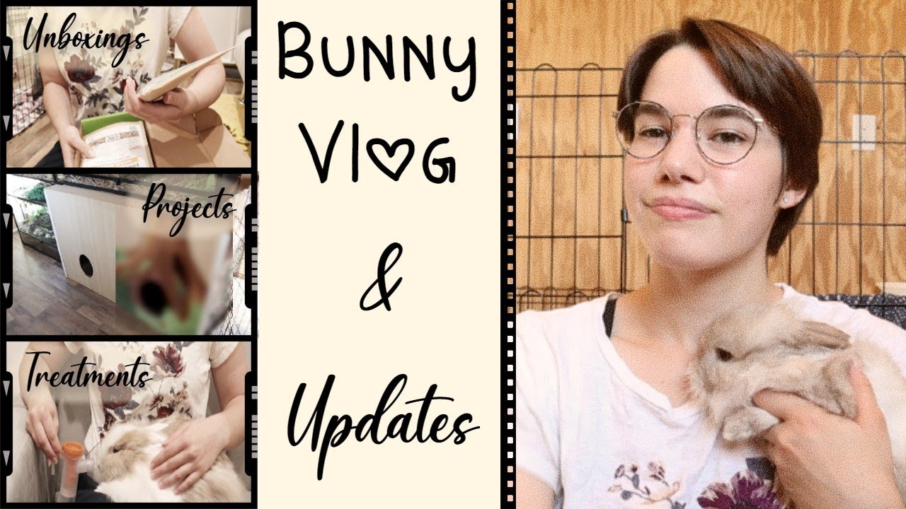 BUNNY Updates Vlog // What's Changed? a lot - YouTube