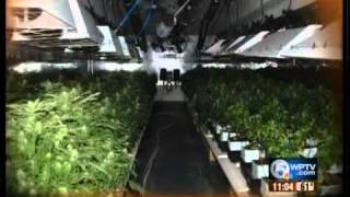 Grow house seized