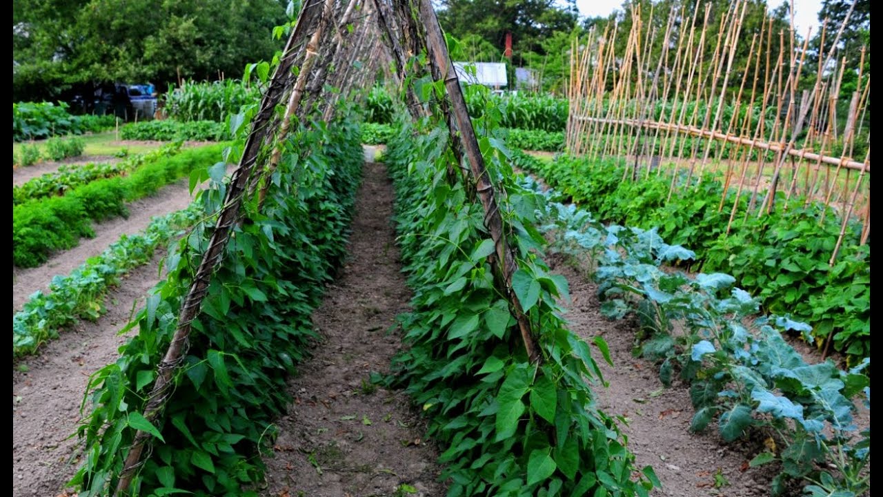 Appalachian Garden YouTube