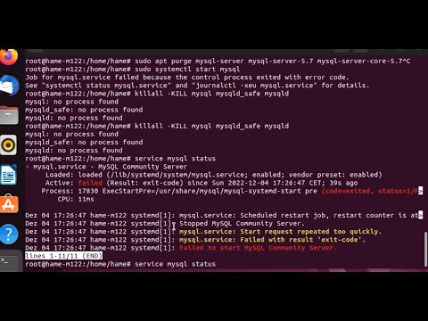 ERROR 2002 HY000 Can't connect to local MySQL server through socket var run mysqld | Ubuntu 22.04