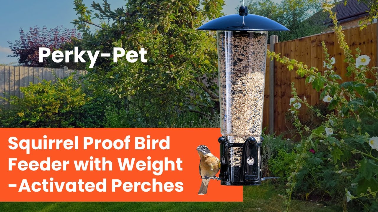Perky Pet 333 1SR Squirrel Be Gone Max YouTube