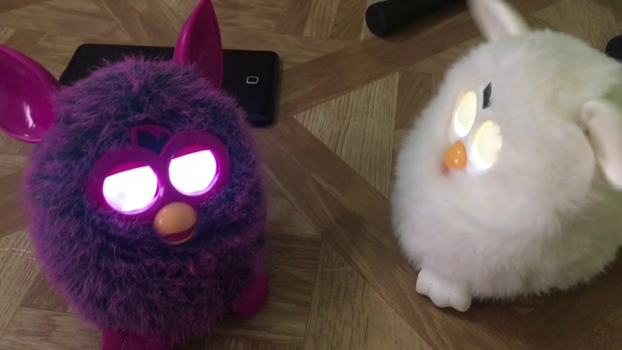 Last Day Ago: Violet & the Furby