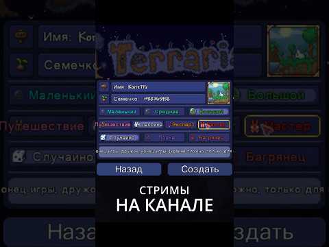 Первый запуск мира