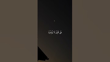 تلاوة جميلة ومؤثرة الشيخ ماهر المعيقلي ارح سمعك #قرآن #قران_كريم #راحة_نفسية