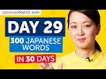 Day 29: 290/300 | Learn 300 Japanese Words in 30 Days Challenge