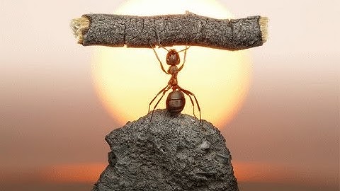 15: How To Profit From The Relative Strength Index - RSI - Like A Pro Part 15