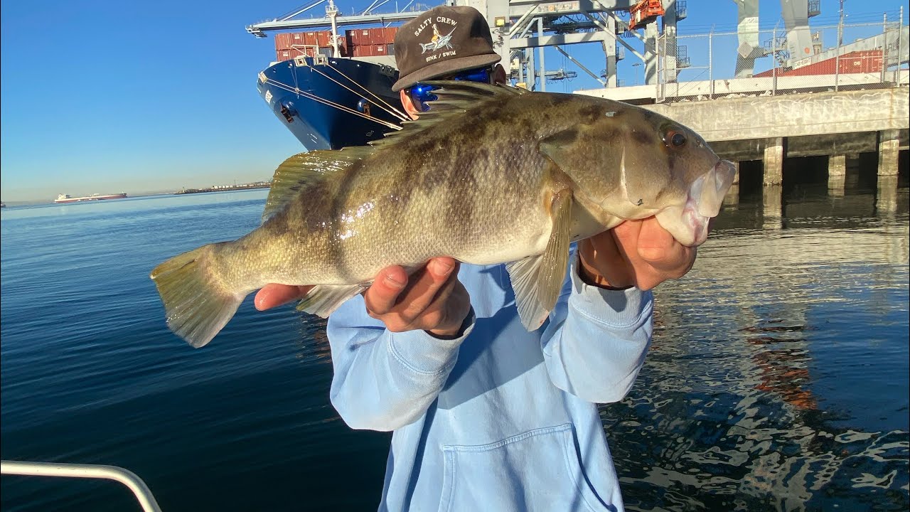 Fall Bass Fishing LOOKING FOR GIANTS!