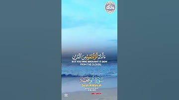 سورة الواقعة __القارئ عبد اللّه الموسئ_