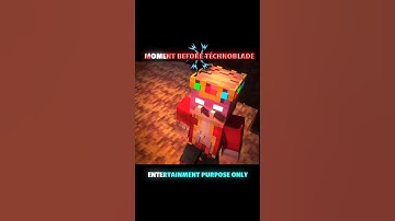 minecraft technoblade troll face moment 💀#minecraft #trolface