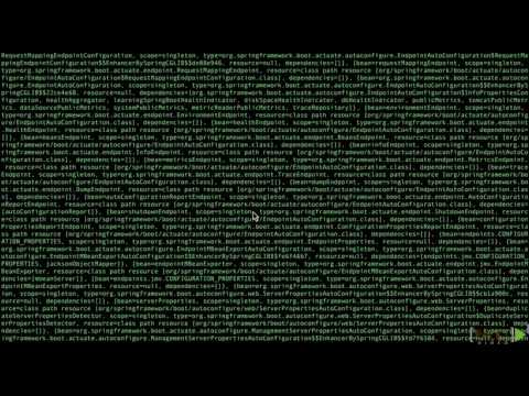 Learning Spring Boot : Touring the Remote Shell | packtpub.com
