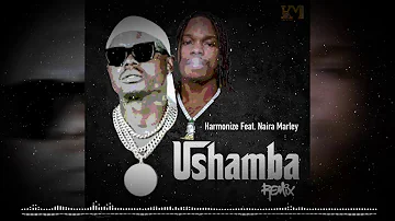 Harmonize Ft Naira Marley - Ushamba Remix (Official Audio)