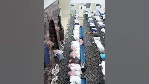ماتيسر من سورة الكهف للشيخ عبدالعزيز مويزي من صلاة التراويح  مسجد ابي بكرالصديق جدة حي البغدادية الغ