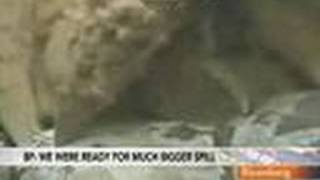 Famous BP Readies Small Containment Dome After `Top Kill' Fails: Video Net Worth