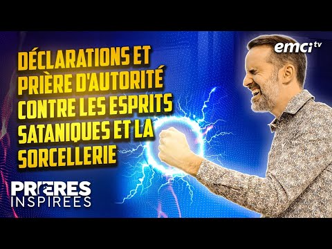 Vidéo: Nos armes secrètes pour lutter contre les odeurs d'animaux de compagnie