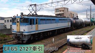 【カラシ】EF65 2127牽引 8460レ（タキ143645 連結）尻手通過 #銀タキ #ef65pf #タキ1000 #タキ43000