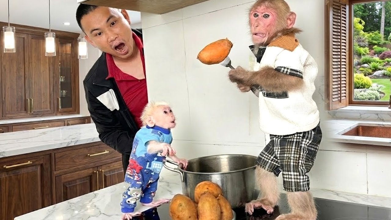 🍠😲 So Sweet! Bibi Surprises Dad by Boiling Sweet Potatoes for LaLa and Bringing Them to Him
