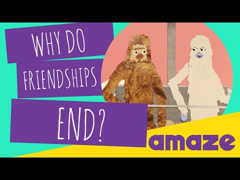 Video: Why Does Friendship End