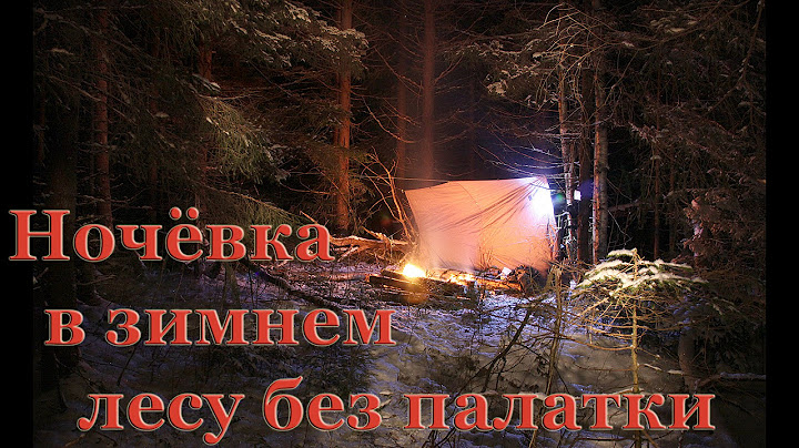 ПВД. Ночевка в зимнем лесу без палатки. Костер нодья.
