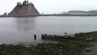 First Beach La Push- near Forks, WA