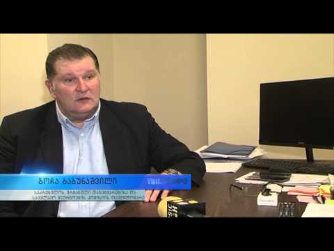 25 მილიონი ლარი სტიქიით დაზარალებულებისთვის