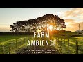  farm ambience  nature  farm sounds for relaxing and deep focus